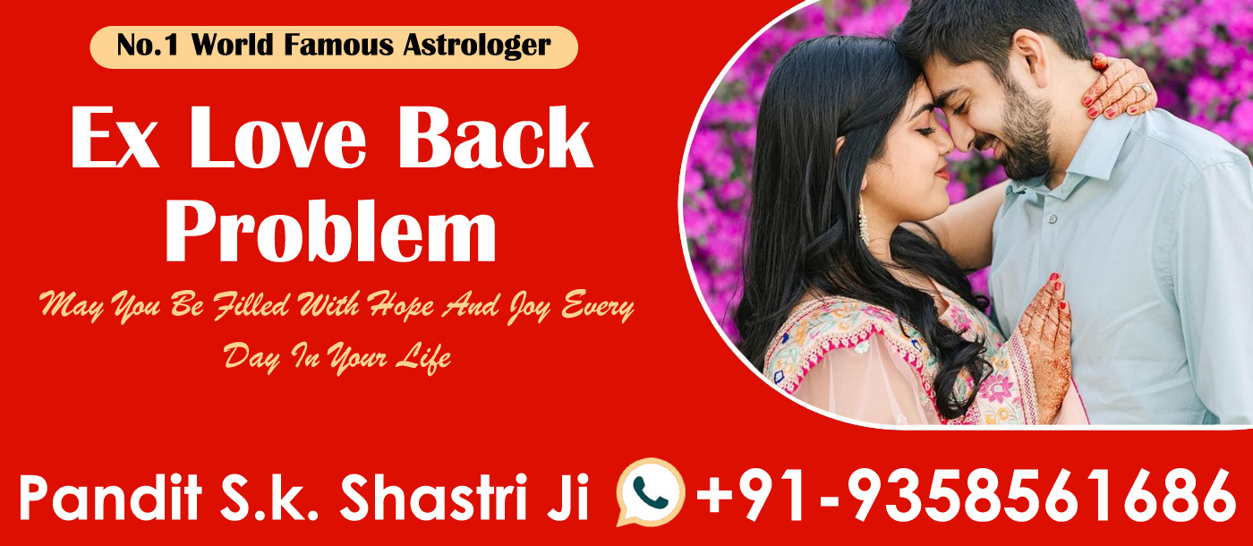 Famous Astrologer Pandit S.k. Shastri Ji